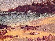 Albert Bierstadt Bahama_Cove France oil painting artist